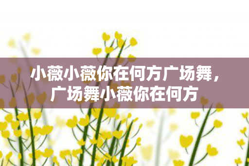 小薇小薇你在何方广场舞，广场舞小薇你在何方