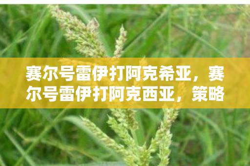 赛尔号雷伊打阿克希亚，赛尔号雷伊打阿克西亚，策略与技巧的深度剖析