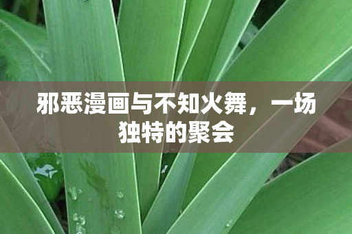 邪恶漫画与不知火舞，一场独特的聚会