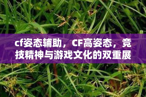 cf姿态辅助，CF高姿态，竞技精神与游戏文化的双重展现