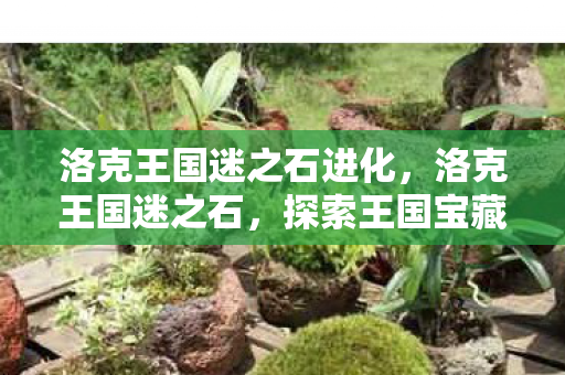 洛克王国迷之石进化，洛克王国迷之石，探索王国宝藏的奇幻之旅