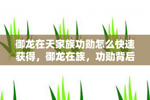 御龙在天家族功勋怎么快速获得，御龙在族，功勋背后的荣耀与梦想