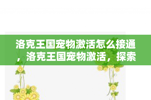 洛克王国宠物激活怎么接通，洛克王国宠物激活，探索奇幻世界的奇妙旅程