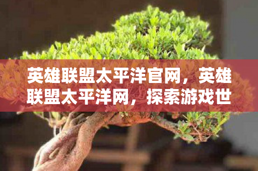 英雄联盟太平洋官网，英雄联盟太平洋网，探索游戏世界的无限可能