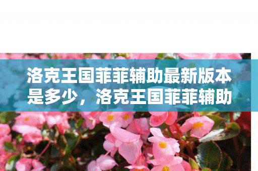 洛克王国菲菲辅助最新版本是多少，洛克王国菲菲辅助最新版，提升游戏体验的得力助手