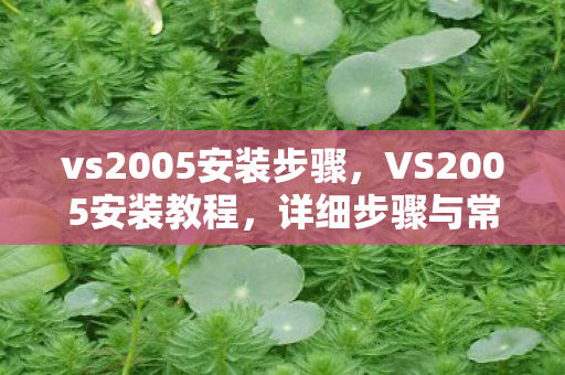 vs2005安装步骤，VS2005安装教程，详细步骤与常见问题解答