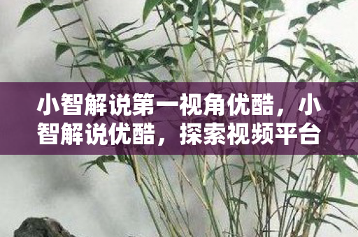 小智解说第一视角优酷，小智解说优酷，探索视频平台的无限可能