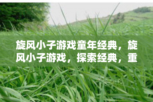 旋风小子游戏童年经典，旋风小子游戏，探索经典，重温童年回忆