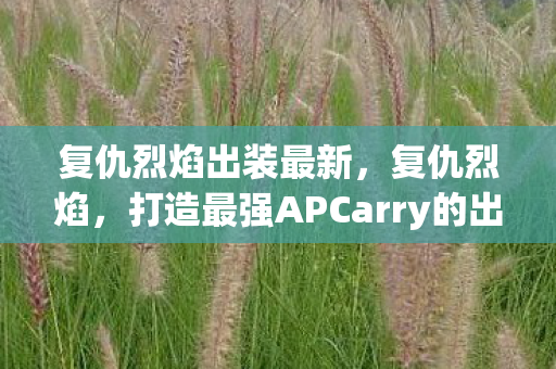 复仇烈焰出装最新，复仇烈焰，打造最强APCarry的出装指南