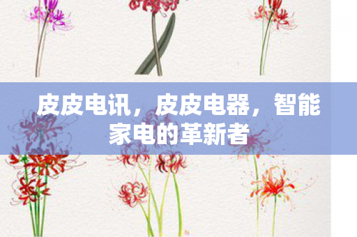 皮皮电讯，皮皮电器，智能家电的革新者