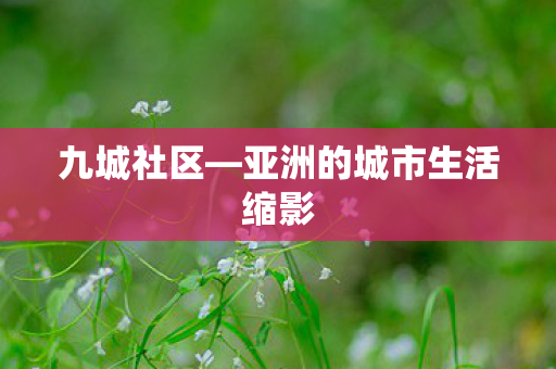 九城社区—亚洲的城市生活缩影
