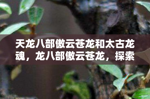 天龙八部傲云苍龙和太古龙魂，龙八部傲云苍龙，探索游戏世界的奇幻之旅