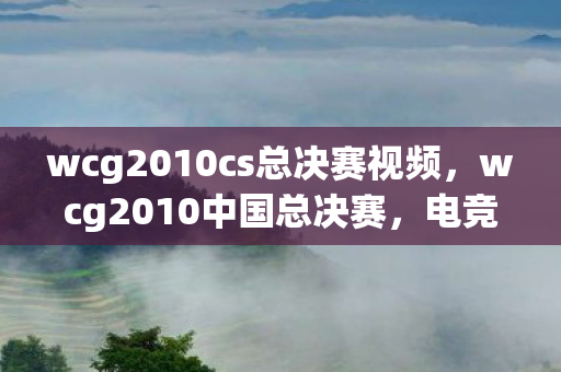 wcg2010cs总决赛视频，wcg2010中国总决赛，电竞巅峰的荣耀与梦想