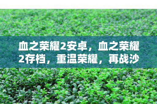 血之荣耀2安卓，血之荣耀2存档，重温荣耀，再战沙场