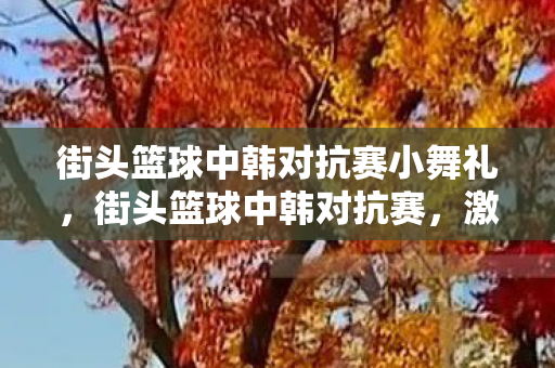 街头篮球中韩对抗赛小舞礼，街头篮球中韩对抗赛，激情碰撞，技艺比拼