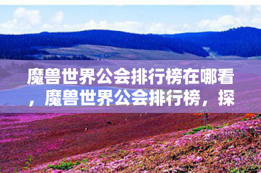 魔兽世界公会排行榜在哪看，魔兽世界公会排行榜，探索艾泽拉斯的荣耀与团结