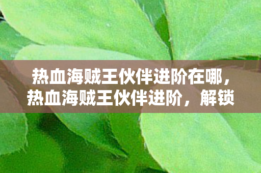 热血海贼王伙伴进阶在哪，热血海贼王伙伴进阶，解锁你的航海王之路