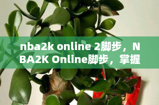 nba2k online 2脚步，NBA2K Online脚步，掌握技巧，提升游戏水平