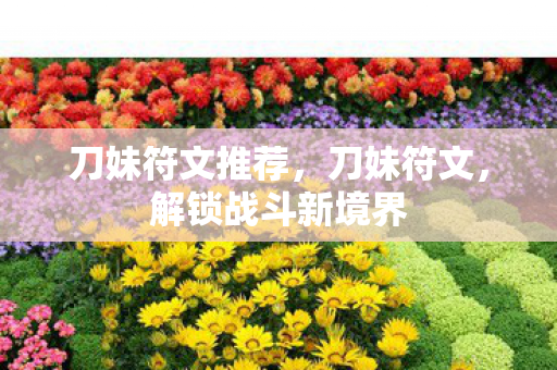 刀妹符文推荐，刀妹符文，解锁战斗新境界