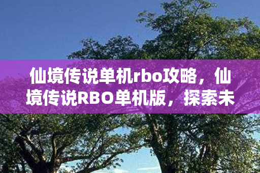 仙境传说单机rbo攻略，仙境传说RBO单机版，探索未知世界的奇妙之旅