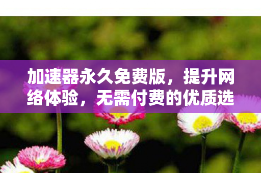 加速器永久免费版，提升网络体验，无需付费的优质选择