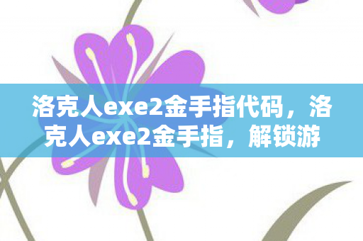 洛克人exe2金手指代码，洛克人exe2金手指，解锁游戏潜能的神奇钥匙