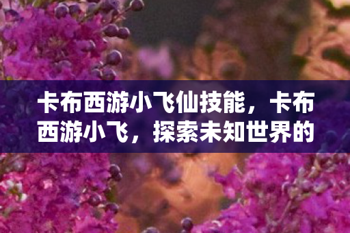 卡布西游小飞仙技能，卡布西游小飞，探索未知世界的奇妙旅程