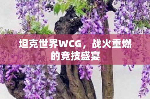 坦克世界WCG,战火重燃的竞技盛宴 坦克世界WCG,战火重燃的竞技盛宴