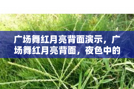 广场舞红月亮背面演示，广场舞红月亮背面，夜色中的城市韵律与自由表达