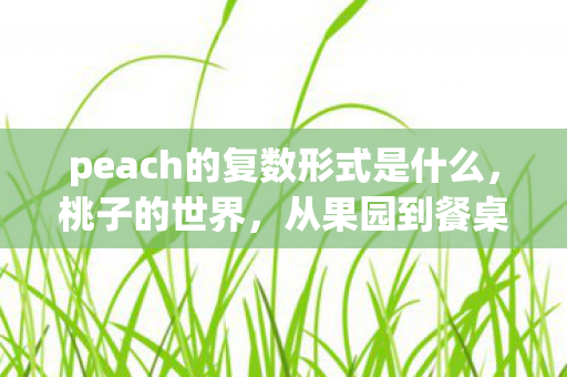 peach的复数形式是什么，桃子的世界，从果园到餐桌的奇妙旅程