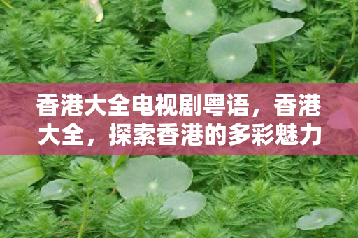 香港大全电视剧粤语，香港大全，探索香港的多彩魅力与独特风情