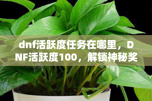 dnf活跃度任务在哪里，DNF活跃度100，解锁神秘奖励，助力你的冒险之旅