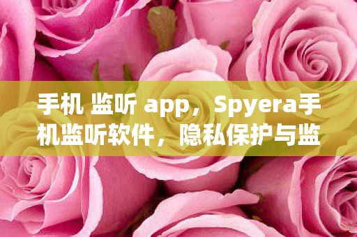 手机 监听 app，Spyera手机监听软件，隐私保护与监控的边界