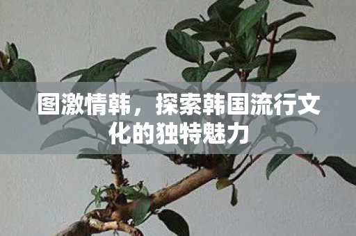 图激情韩，探索韩国流行文化的独特魅力