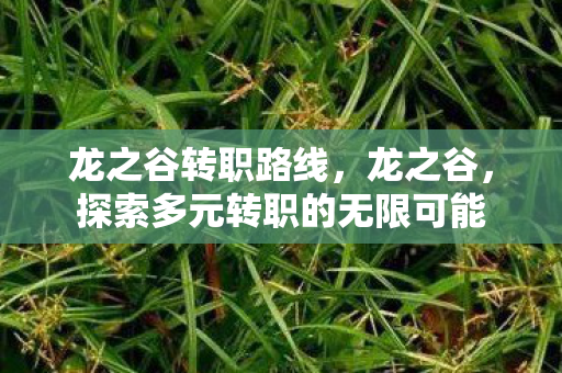 龙之谷转职路线，龙之谷，探索多元转职的无限可能