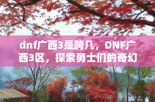 dnf广西3是跨几，DNF广西3区，探索勇士们的奇幻世界