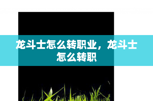 龙斗士怎么转职业，龙斗士怎么转职