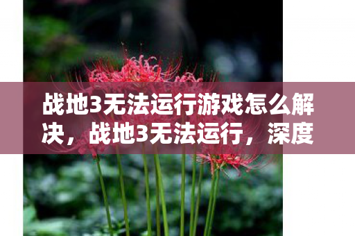 战地3无法运行游戏怎么解决，战地3无法运行，深度解析游戏运行问题