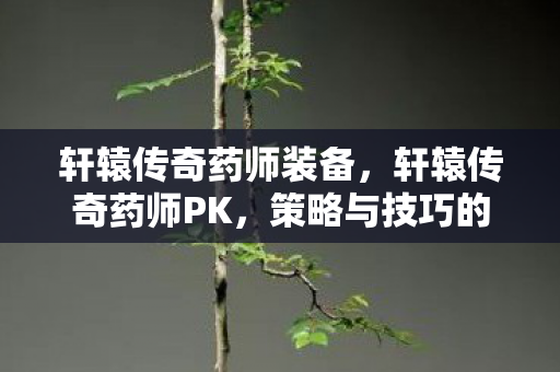 轩辕传奇药师装备，轩辕传奇药师PK，策略与技巧的深度剖析