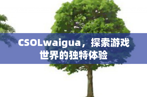 CSOLwaigua，探索游戏世界的独特体验