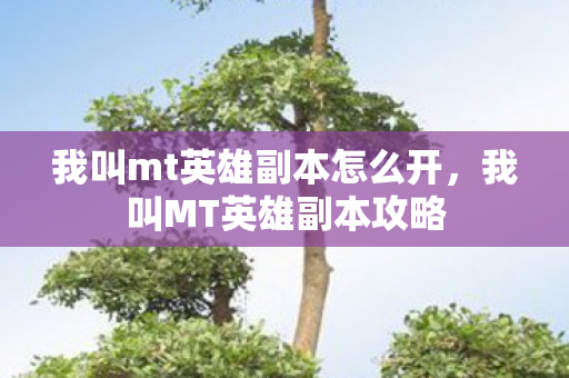 我叫mt英雄副本怎么开，我叫MT英雄副本攻略