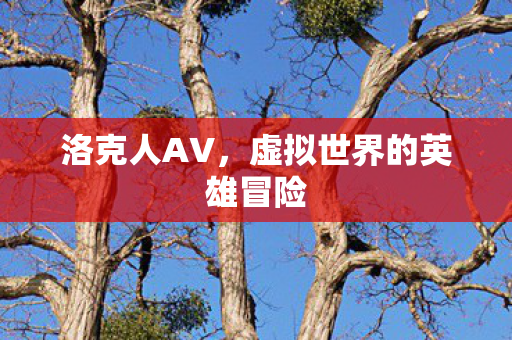 洛克人AV，虚拟世界的英雄冒险