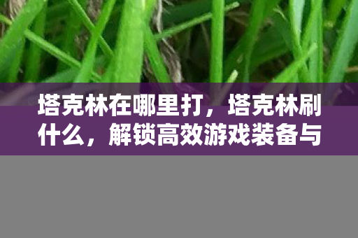 塔克林在哪里打，塔克林刷什么，解锁高效游戏装备与资源获取策略