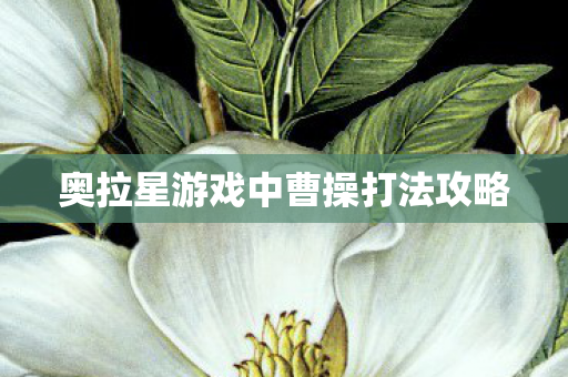 奥拉星游戏中曹操打法攻略