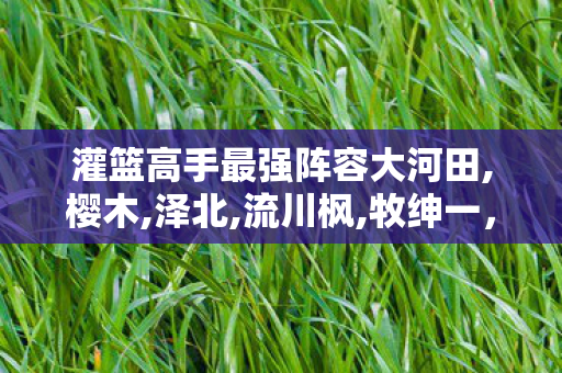 灌篮高手最强阵容大河田,樱木,泽北,流川枫,牧绅一，灌篮高手最强阵容，经典再现，传奇不朽