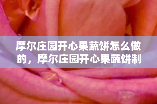 摩尔庄园开心果蔬饼怎么做的，摩尔庄园开心果蔬饼制作秘籍