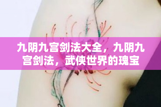 九阴九宫剑法大全，九阴九宫剑法，武侠世界的瑰宝