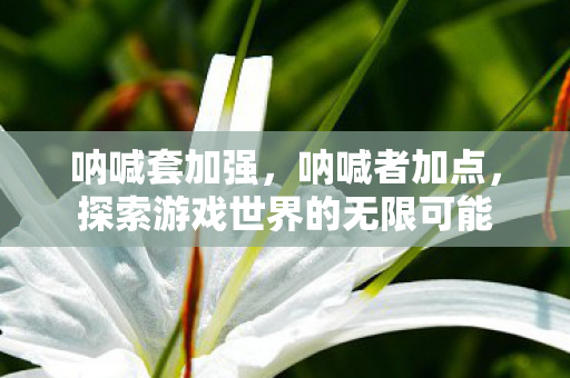 呐喊套加强，呐喊者加点，探索游戏世界的无限可能