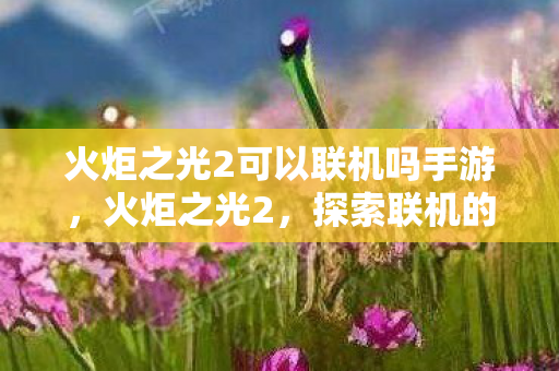火炬之光2可以联机吗手游，火炬之光2，探索联机的无限可能
