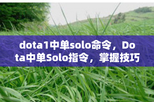 dota1中单solo命令，Dota中单Solo指令，掌握技巧，称霸中路